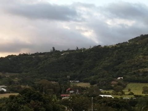 Les clés du sud sauvage Apartment in Réunion