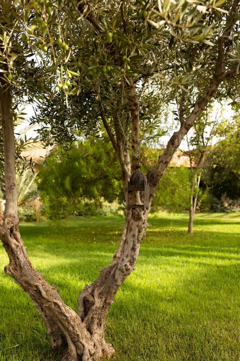 Garden, Garden view