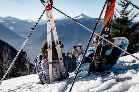 Winter, Skiing, Mountain view, group of guests