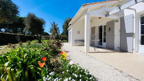 Property building, Garden, Garden view