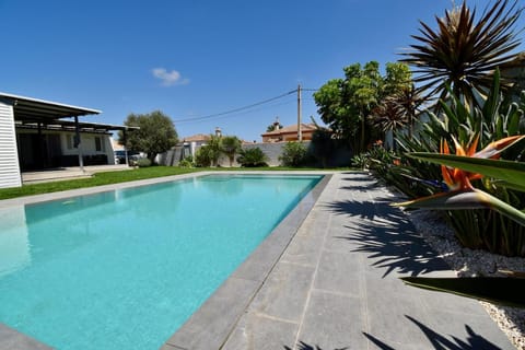 Garden, Swimming pool