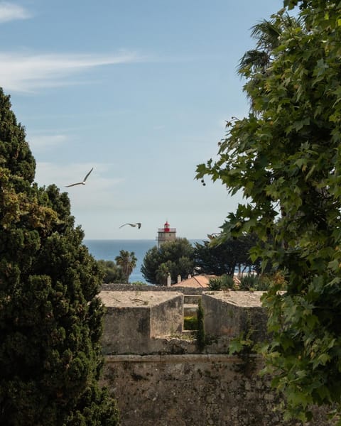 Landmark view, Street view