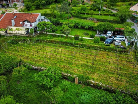 Property building, Spring, Bird's eye view, Garden, Garden view, Parking