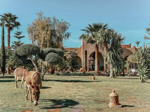 LE BLED DE GRE Chambre d’hôte in Marrakesh