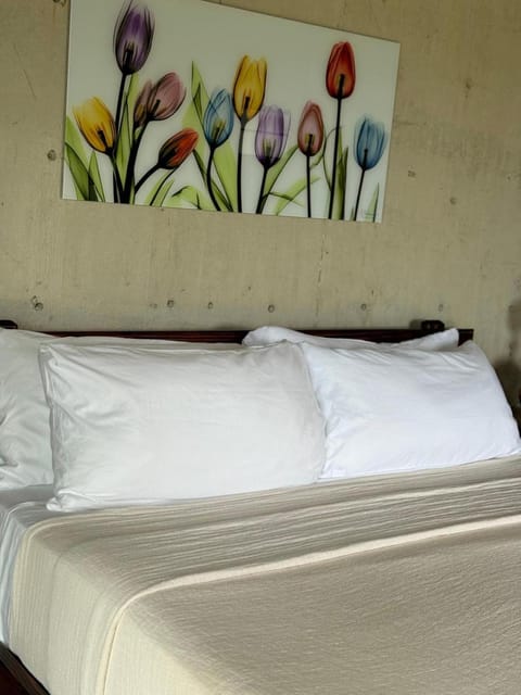 The Serene House Bed & Breakfast Bed and Breakfast in Fajardo