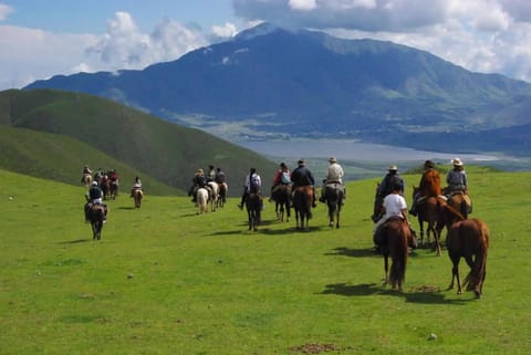 TERRAZAS DEL TAFI Apartahotel in Tafí del Valle