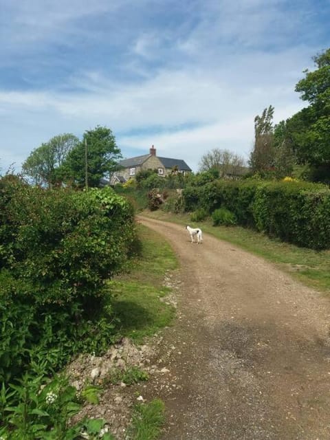 The Bake House (Berryl Farm Cottages) House in Ventnor