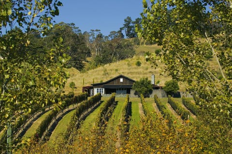 Property building, Spring, Day, Natural landscape, Garden, Garden view