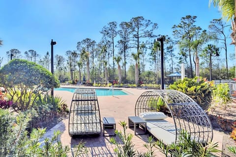 Swimming pool, sunbed