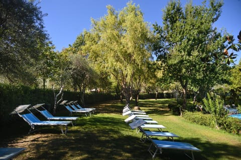 Natural landscape, Summer, Garden, Swimming pool, sunbed