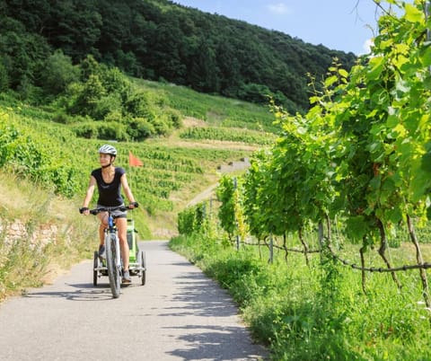 People, Cycling