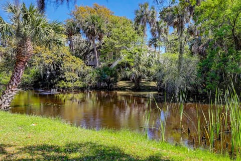 C Turtle House in Edisto Beach