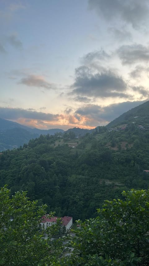 One day in the village/ერთი დღე სოფელში Chalet in Adjara, Georgia