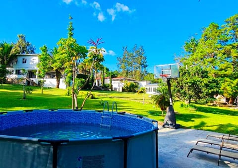 Natural landscape, Garden, Garden view, Swimming pool