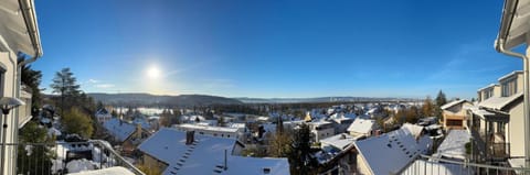 Panoramahaus am Schlipfweg Villa in Riehen