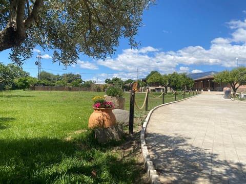 Facade/entrance, Garden