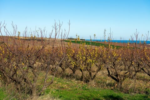 Natural landscape, Sea view