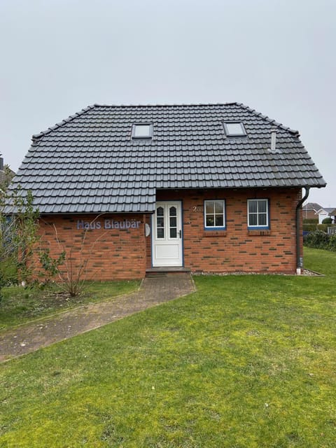 Property building, Day, Garden