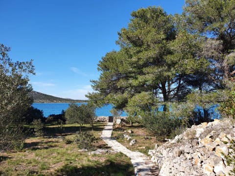 Natural landscape, Sea view