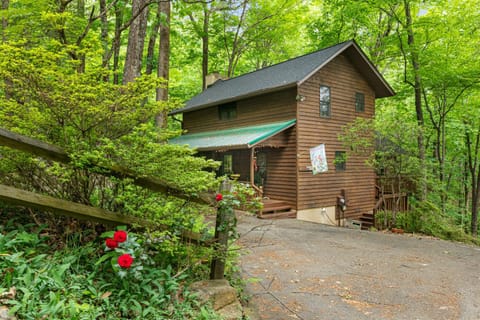 Carolina Cardinal House House in Lake Lure