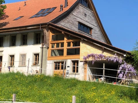 Property building, Spring, Day, Garden, Garden view