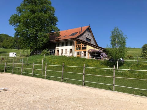 Property building, Spring, Day, Natural landscape, Breakfast