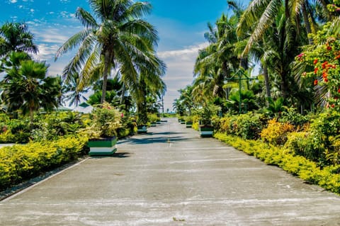 Garden, Garden view