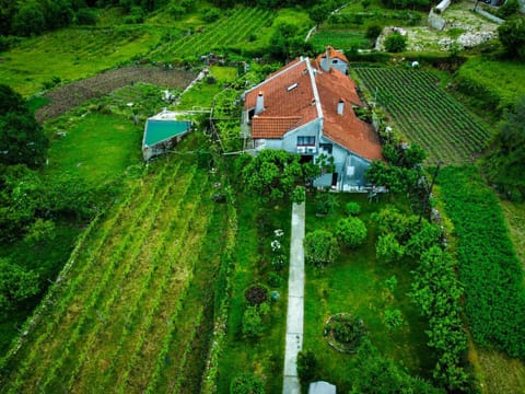 Property building, Spring, Natural landscape, Bird's eye view, Garden, Garden view, Swimming pool