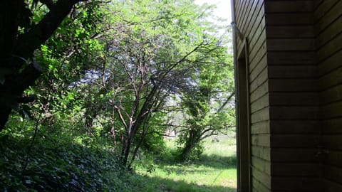 gite sud ardeche House in Les Vans