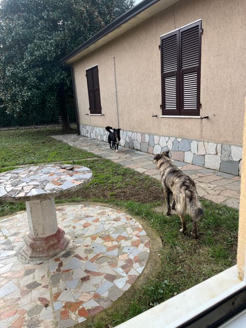 Casavacanze Azzurra House in Sarzana