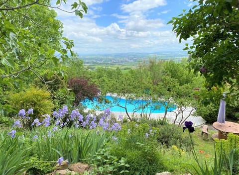 Les Hauts de Jeanvert - Le Bouleau - Piscine - Gaillac House in Gaillac