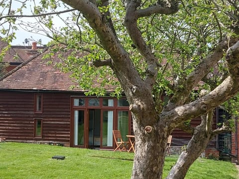 Property building, Garden view