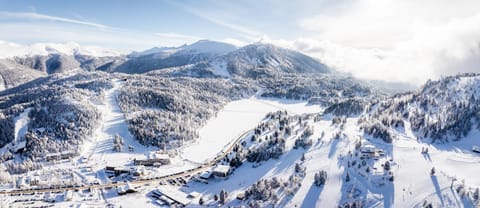 Alpin Peaks Hotel in Carinthia, Austria