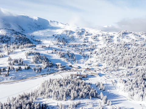 Alpin Peaks Hotel in Carinthia, Austria