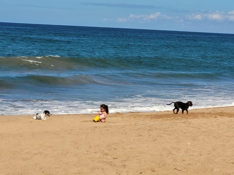 Natural landscape, Beach, Sea view