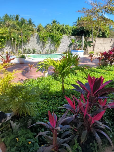 Garden view, Swimming pool