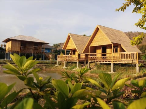 คูณ-เนื่อง ฟาร์ม สเตย์ หัวหิน Koon & Nueang Farm Stay Hua Hin Farm Stay in Hua Hin District