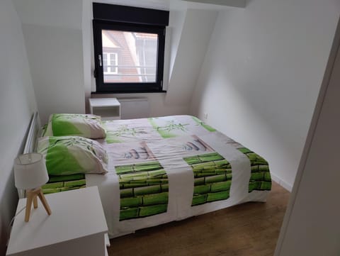 Le Green Duplex moderne en hypercentre Condo in Sarreguemines