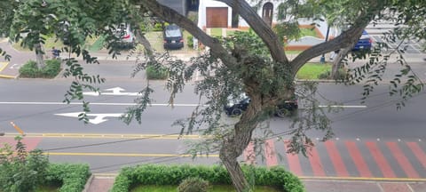 Naturaleza y árboles San Isidro Apartment in San Isidro