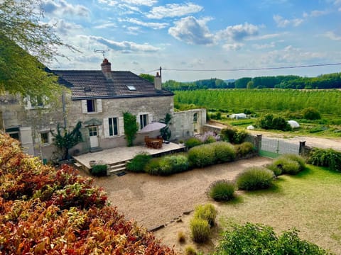 Property building, Garden, Garden view