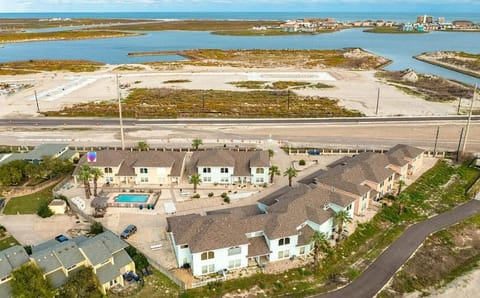 Palm Tree Paradise House in North Padre Island