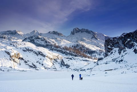 Natural landscape, Winter