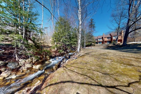 Nordic Wilderness Lodge Condo in Glen