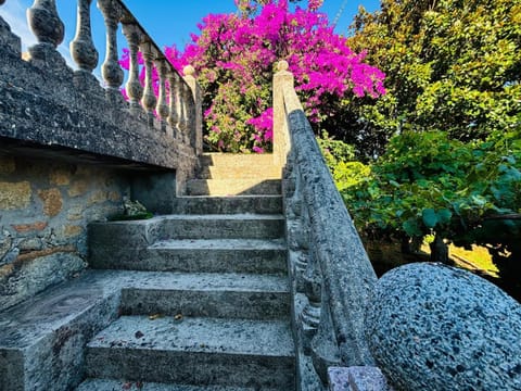 Day, Garden, Garden view