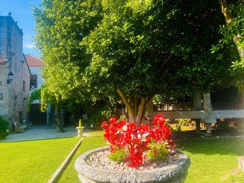 Day, Garden, Garden view