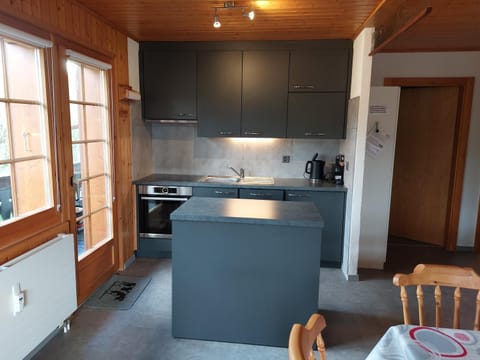 Kitchen or kitchenette, dishwasher, minibar, pet friendly, stove