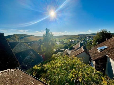 Appartement cosy vue sur le vignoble Apartment in Sancerre