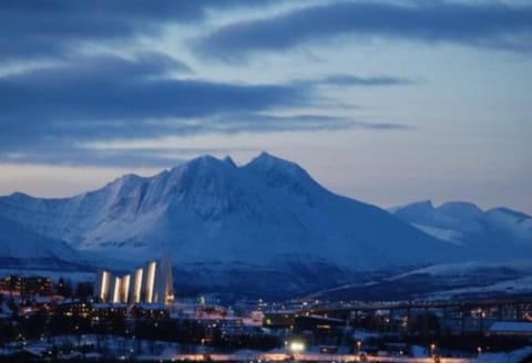 Polar Cozy Apartment - Free parking Condo in Tromso