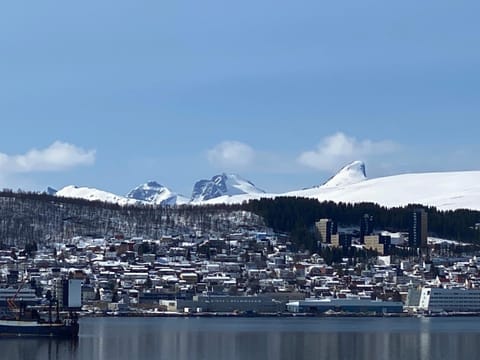 Polar Cozy Apartment - Free parking Condo in Tromso