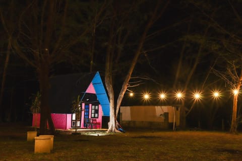 Property building, Night, Natural landscape, Garden, Garden view